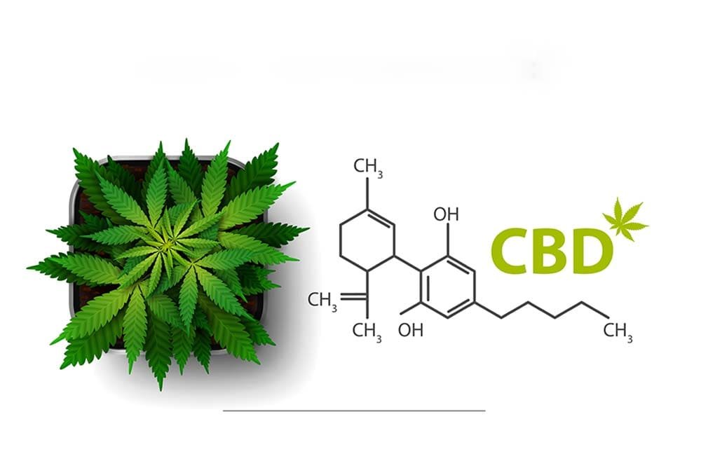 Desmitificando uso cbd portada