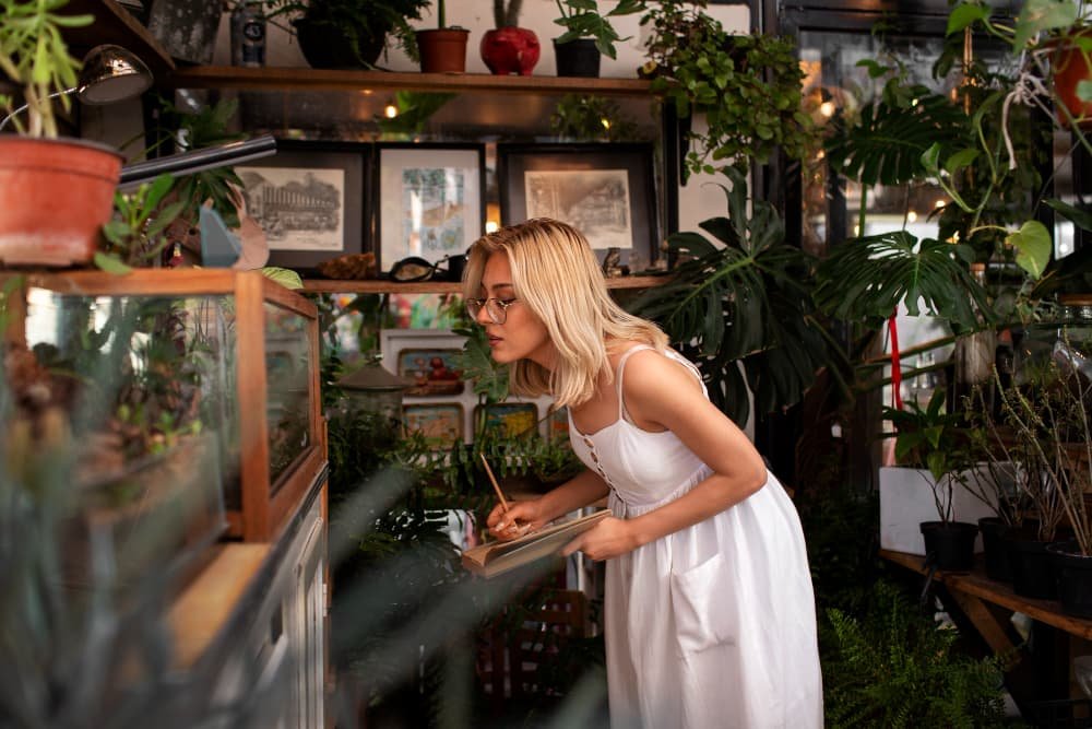 rentabilidad franquicia cbd