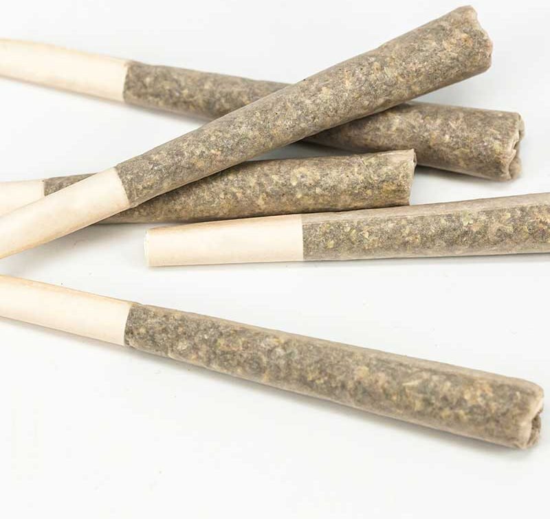 MZKwTyBTGWF4emEpUS9 e1738688441135