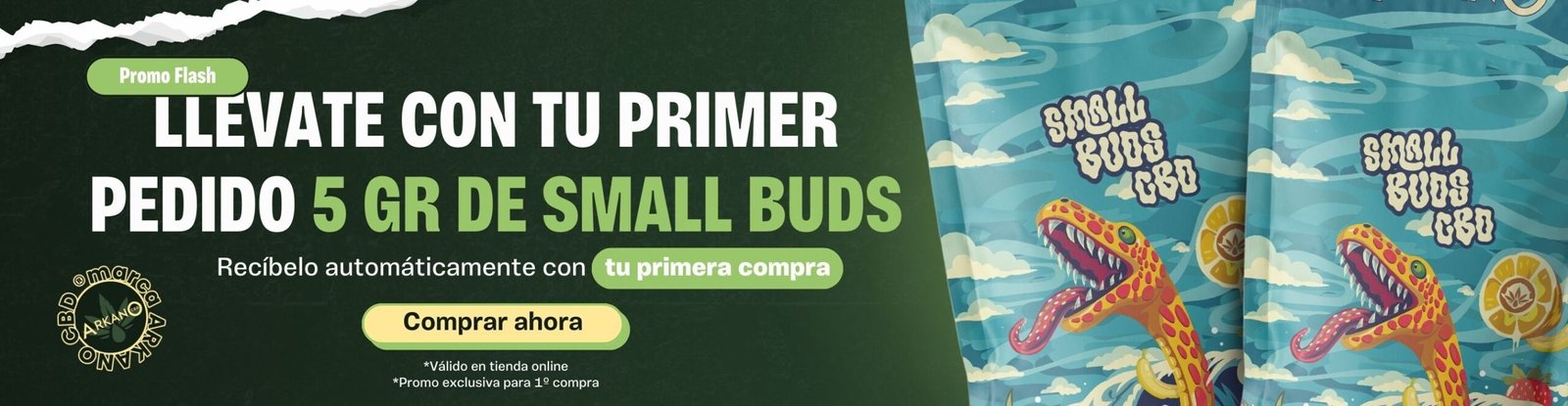 BANNERS WEB SMALL BUDS 1er PEDIDO DESKTOP3 scaled